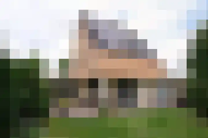 Sternmesschen 12 Assen thumbnail 44