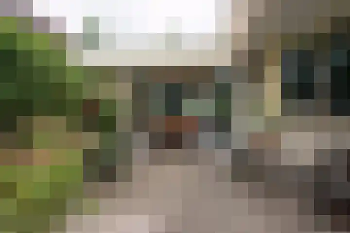 Sternmesschen 12 Assen thumbnail 45