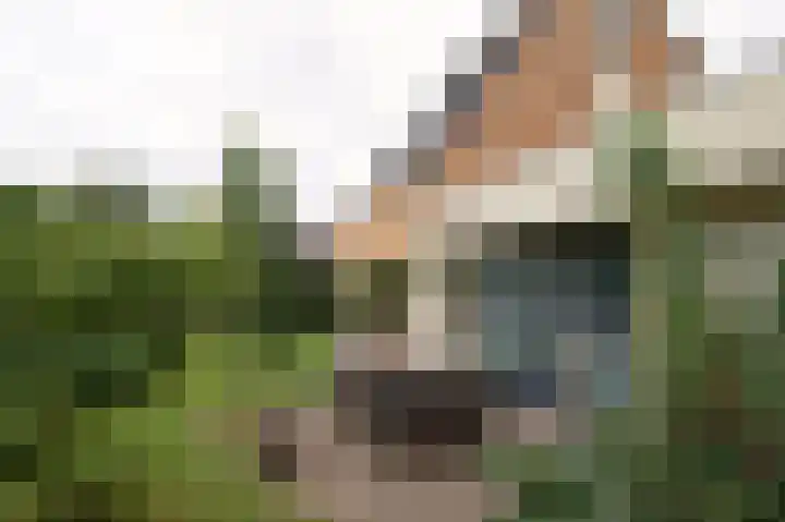 Sternmesschen 12 Assen thumbnail 48