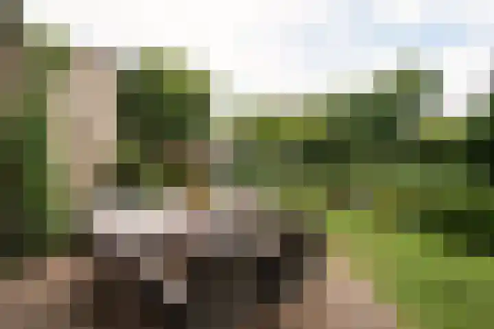 Sternmesschen 12 Assen thumbnail 49
