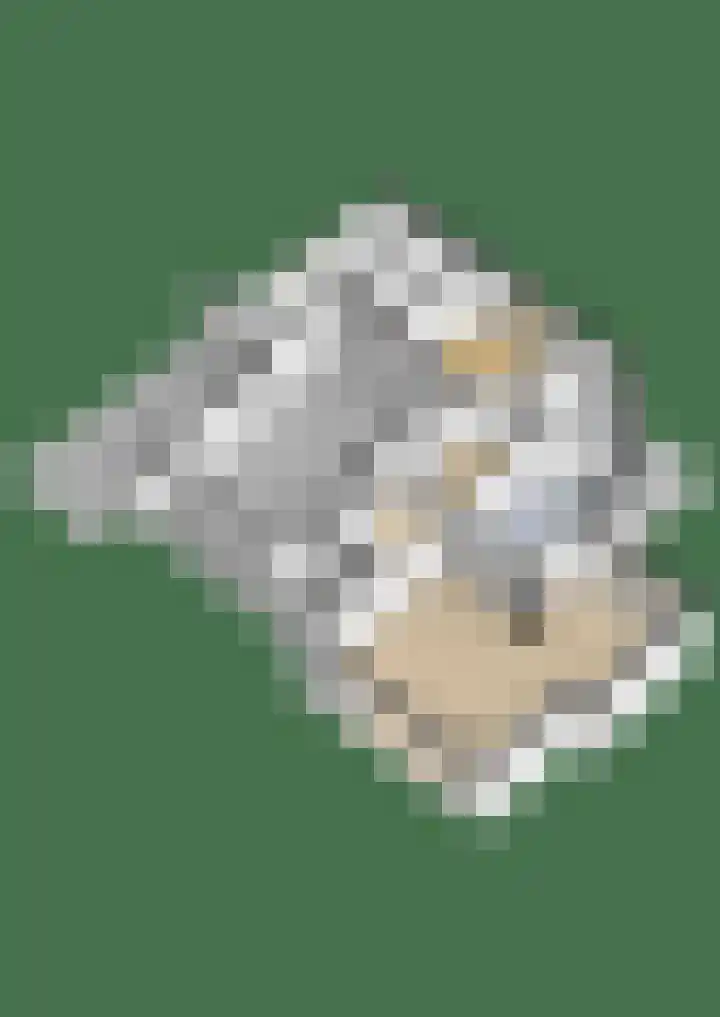 Sternmesschen 12 Assen thumbnail 56