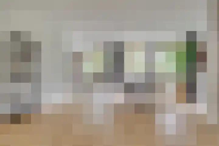 Sternmesschen 12 Assen thumbnail 61