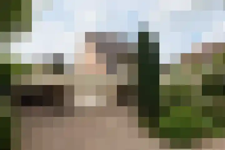 Sternmesschen 12 Assen thumbnail 62