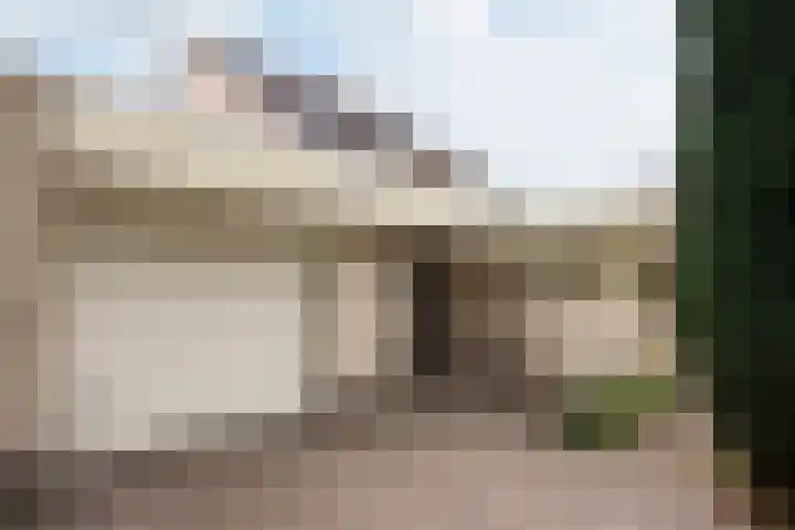 Sternmesschen 12 Assen thumbnail 9