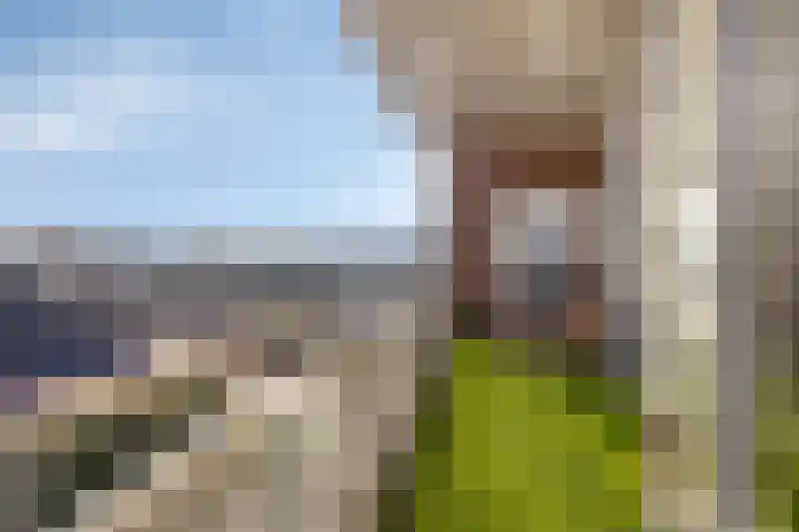 Sternpassage 34 Epe thumbnail 24