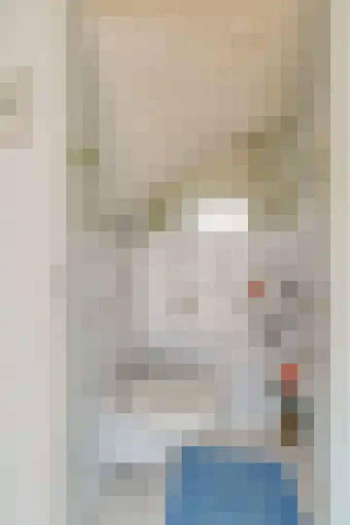 Sternstraat 10 Leiderdorp thumbnail 14