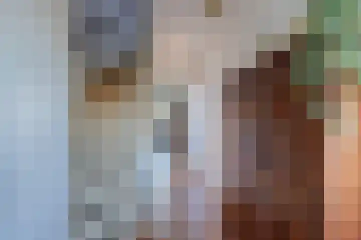 Sternstraat 10 Leiderdorp thumbnail 15