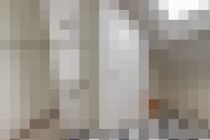 Sternstraat 10 Leiderdorp thumbnail 26