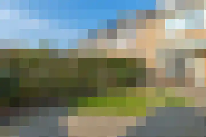 Sternstraat 10 Leiderdorp thumbnail 32