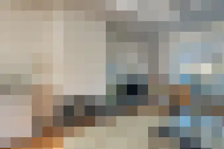Sternstraat 10 Leiderdorp thumbnail 9