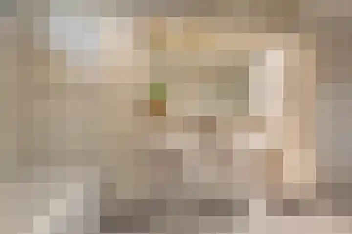 Sternstraat 10 Wormer thumbnail 23