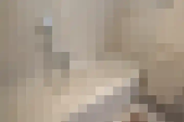 Sternstraat 10 Wormer thumbnail 25