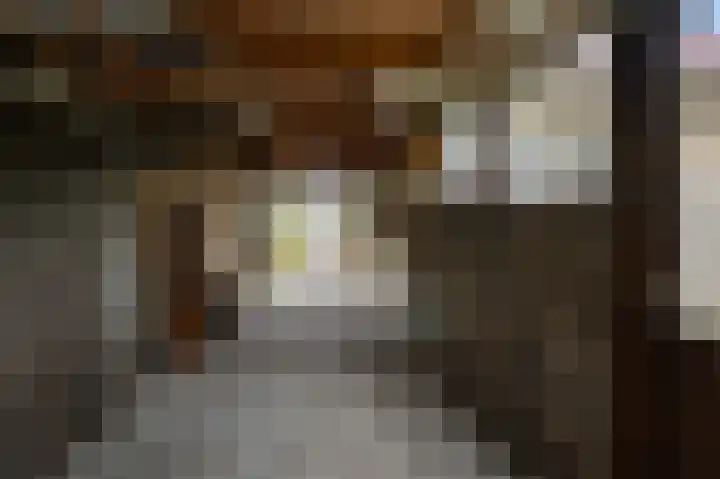 Sternstraat 10 Wormer thumbnail 37