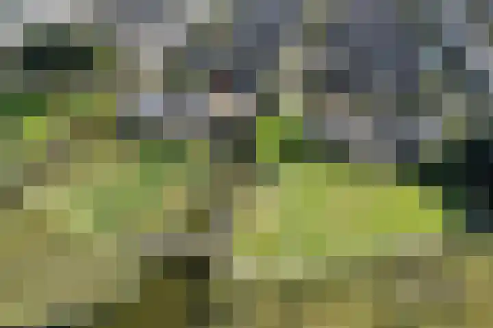 Sternstraat 10 Wormer thumbnail 45