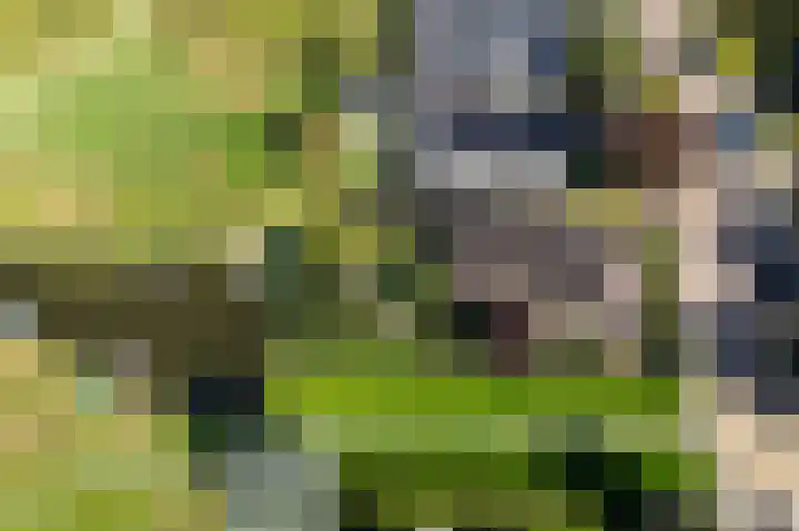 Sternstraat 10 Wormer thumbnail 47