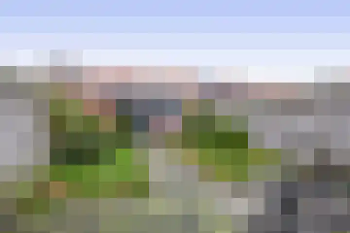 Sternstraat 46 Den Helder thumbnail 10