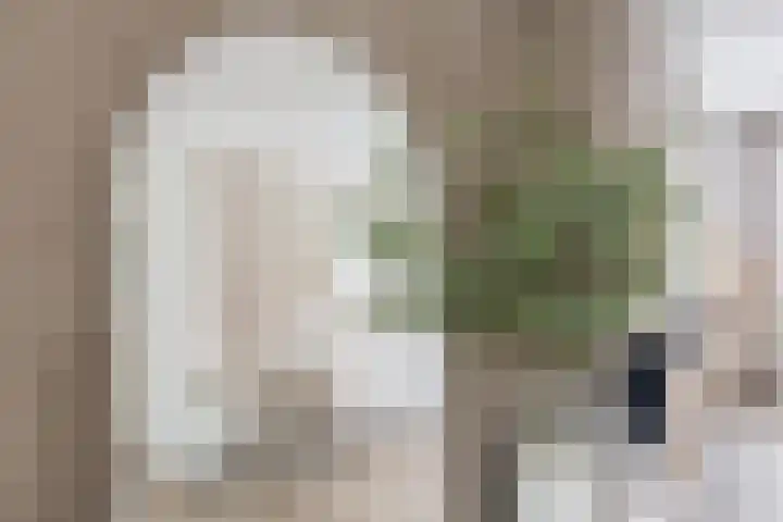 Sternstraat 8 Den Helder thumbnail 10