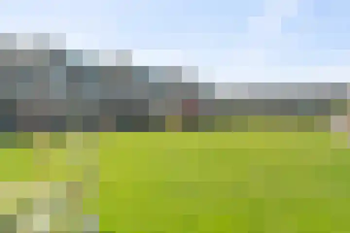 Sternstraat 8 Petten thumbnail 30