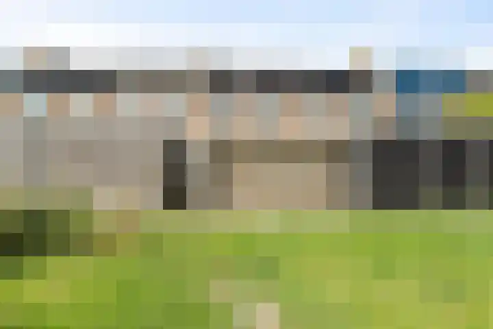 Sternstraat 8 Petten thumbnail 31