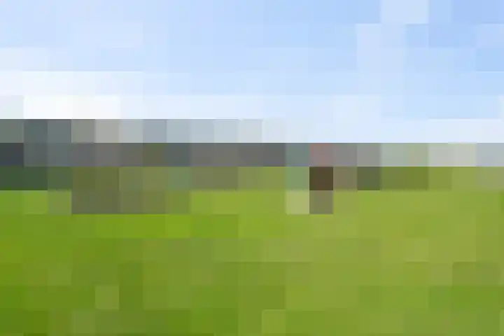 Sternstraat 8 Petten thumbnail 32