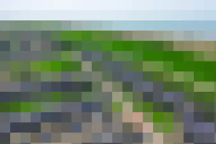Sternstraat 8 Petten thumbnail 33