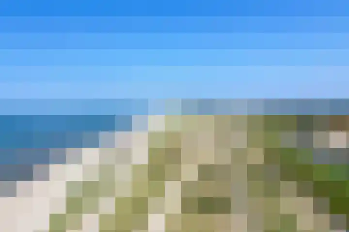 Sternstraat 8 Petten thumbnail 34