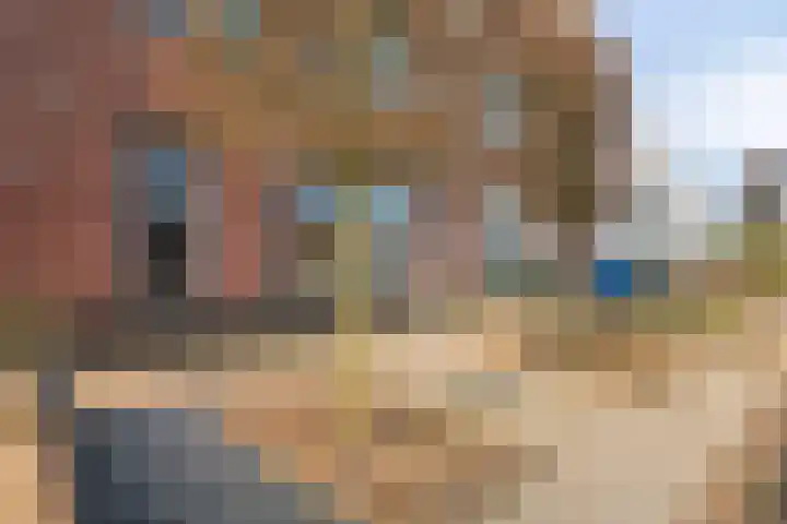 Sterrebos 5 Oldebroek thumbnail 10