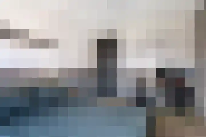 Sterrebos 5 Oldebroek thumbnail 33