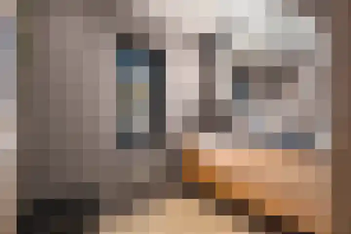 Sterrebos 5 Oldebroek thumbnail 4