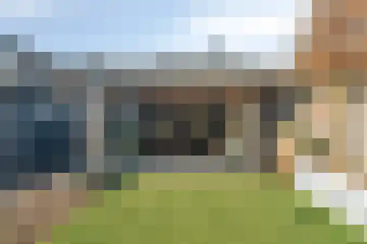 Sterrebos 5 Oldebroek thumbnail 49