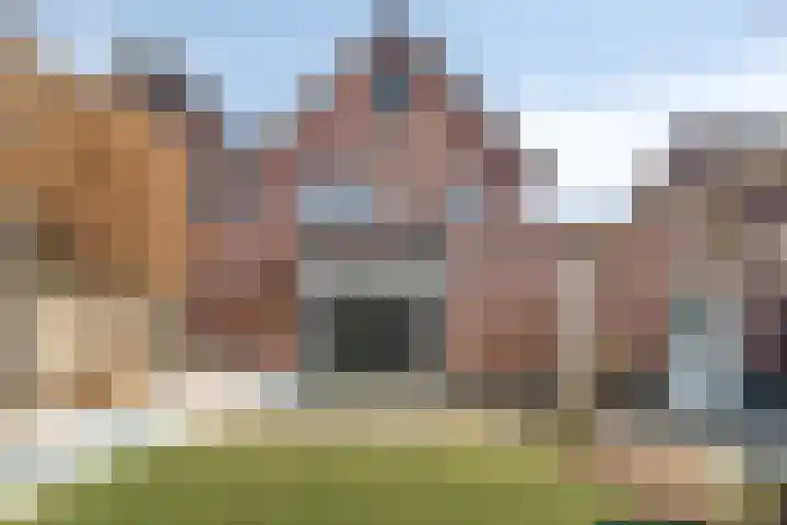 Sterrebos 5 Oldebroek thumbnail 58