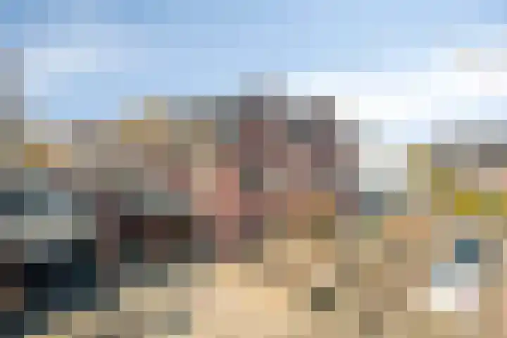 Sterrebos 5 Oldebroek thumbnail 6