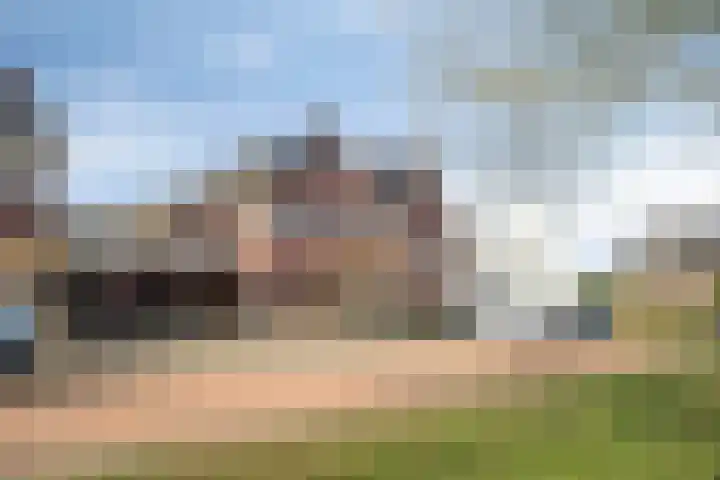Sterrebos 5 Oldebroek thumbnail 9