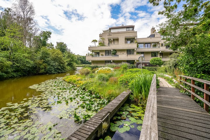 Sterrekinderen erf 55 in Capelle aan den IJssel foto