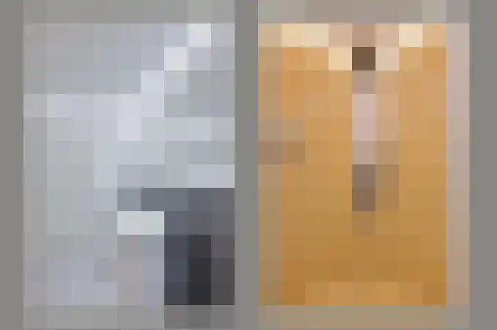 Sterrekruid 69 Zeewolde thumbnail 17