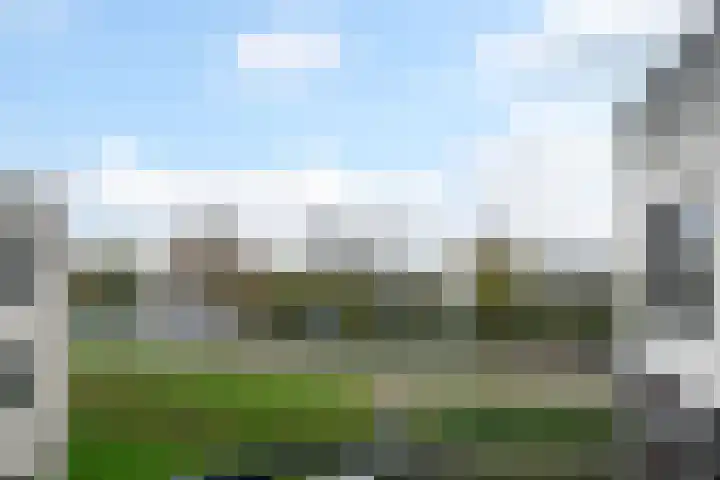 Sterrekruid 69 Zeewolde thumbnail 19
