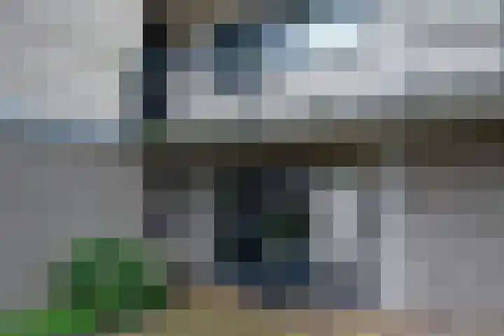 Sterrekruid 69 Zeewolde thumbnail 21
