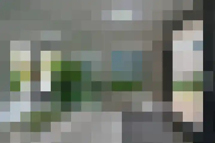 Sterrekruid 69 Zeewolde thumbnail 22
