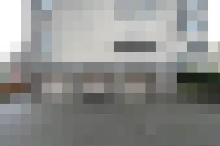 Sterrekruid 69 Zeewolde thumbnail 23