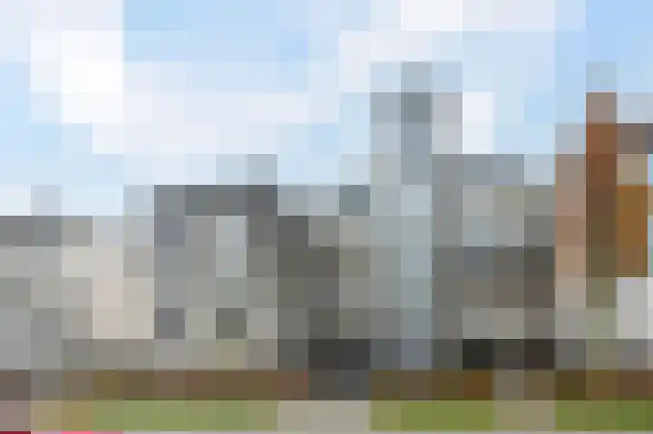 Sterrekruid 69 Zeewolde thumbnail 25