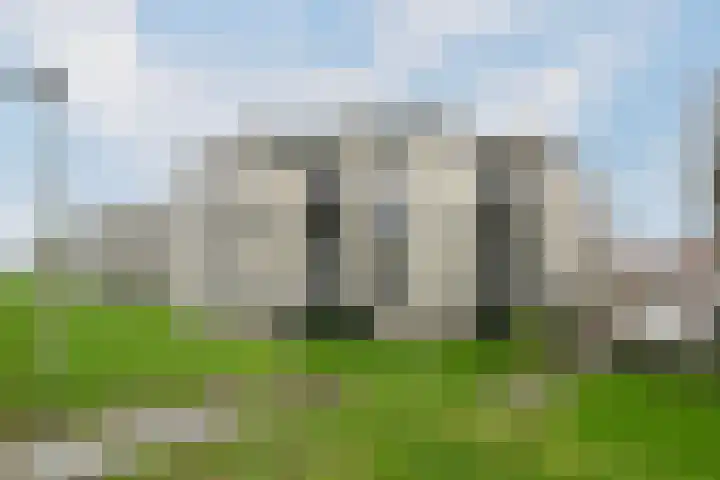 Sterrekruid 69 Zeewolde thumbnail 26