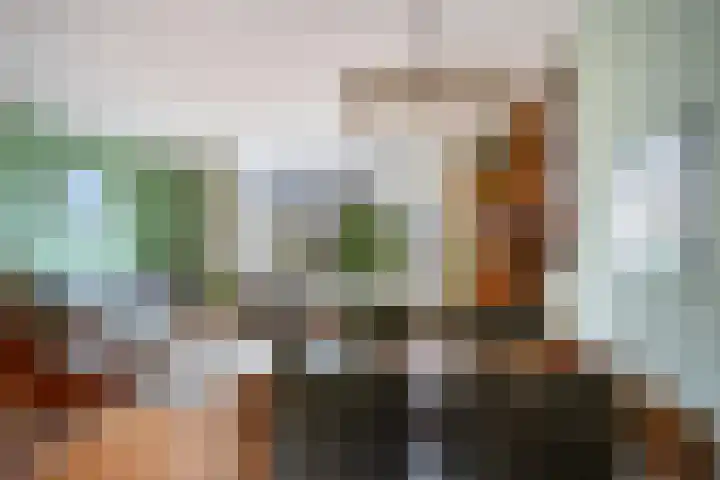 Sterremos 33 Reeuwijk thumbnail 10