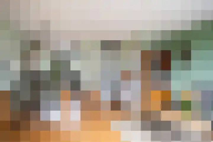 Sterremos 33 Reeuwijk thumbnail 11