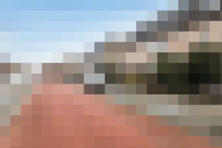 Sterremos 33 Reeuwijk thumbnail 32