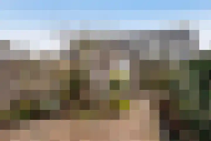 Sterremos 33 Reeuwijk thumbnail 5