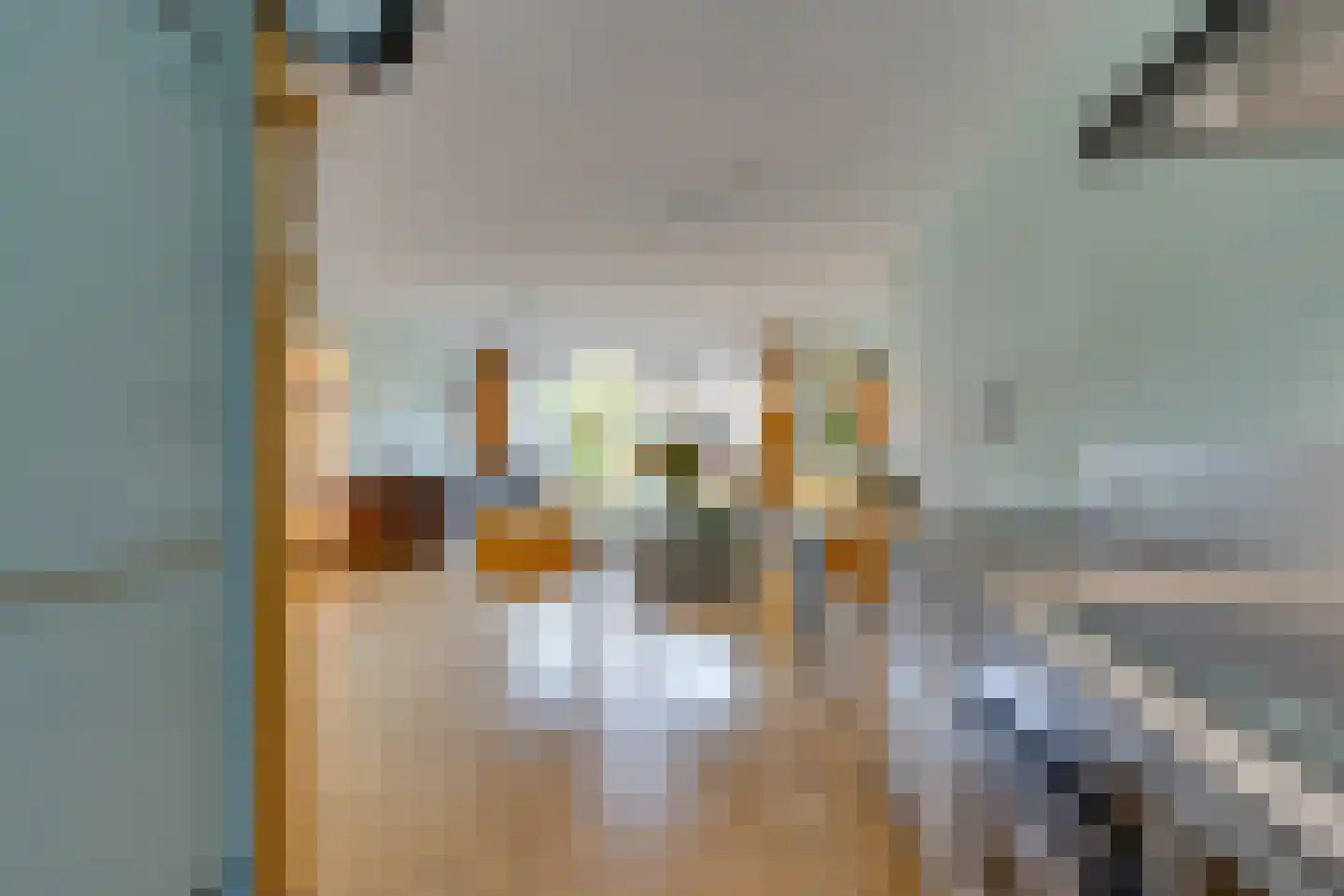 Sterremosstraat 24 Purmerend thumbnail 22
