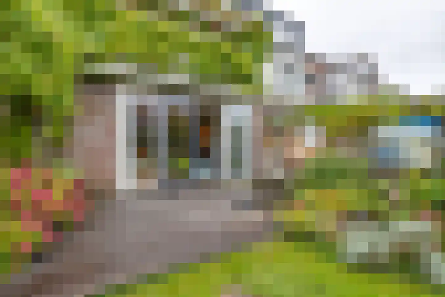 Sterremosstraat 24 Purmerend thumbnail 25