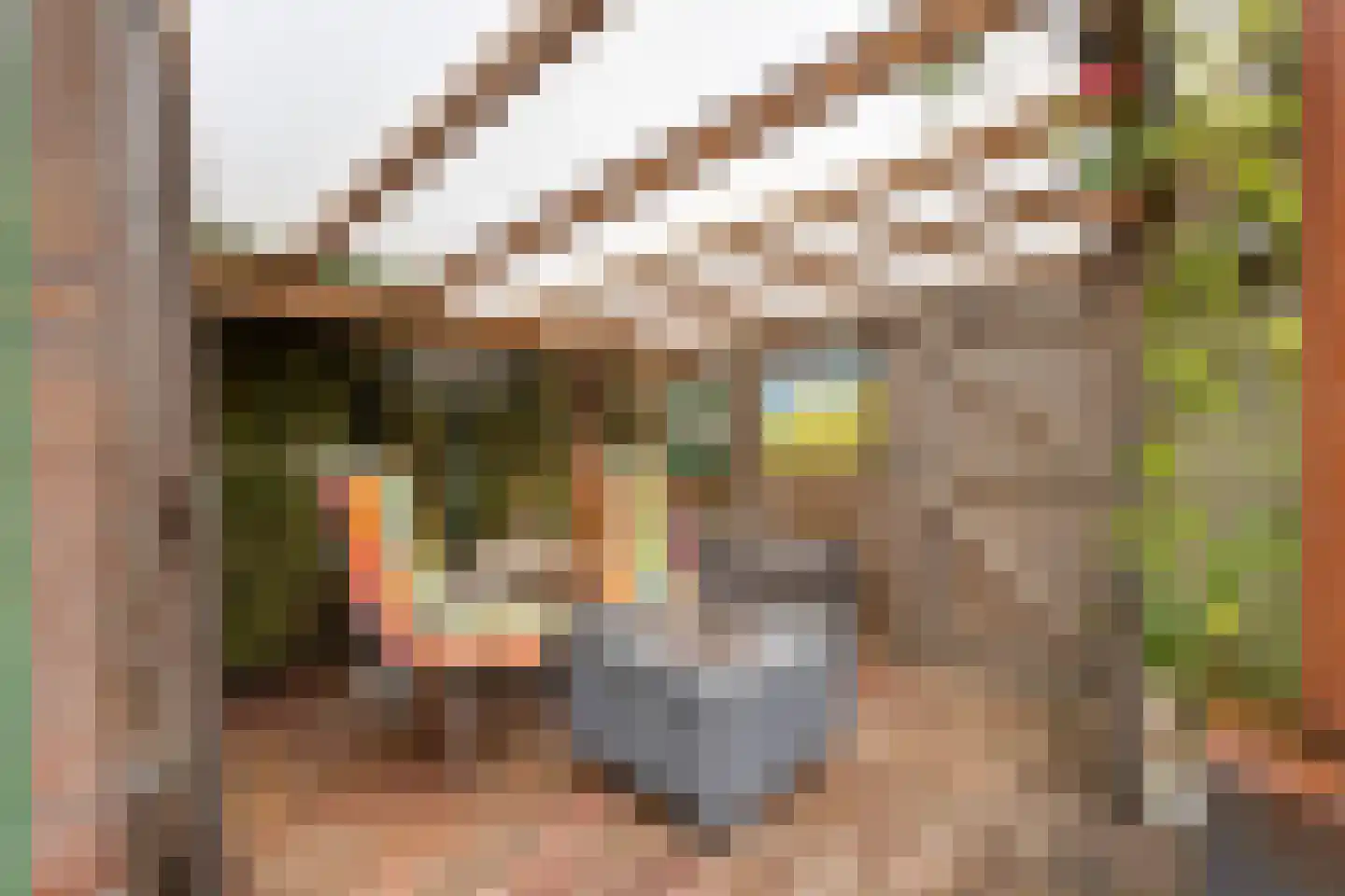 Sterremosstraat 24 Purmerend thumbnail 27