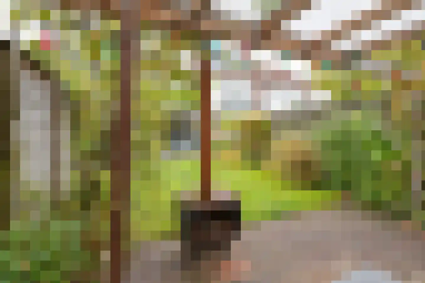 Sterremosstraat 24 Purmerend thumbnail 28