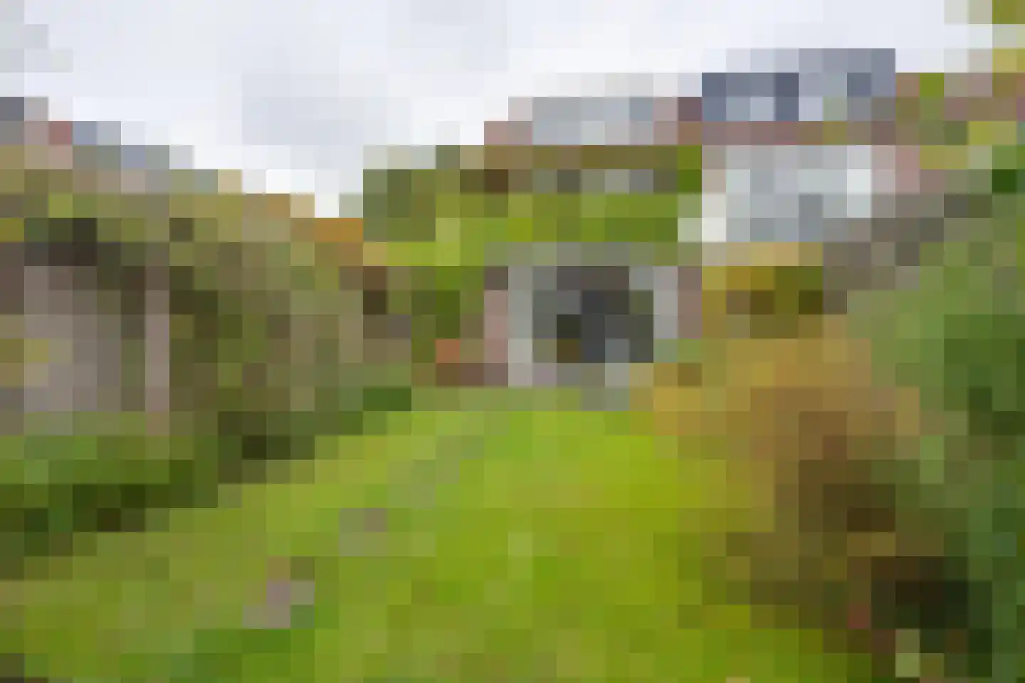 Sterremosstraat 24 Purmerend thumbnail 29